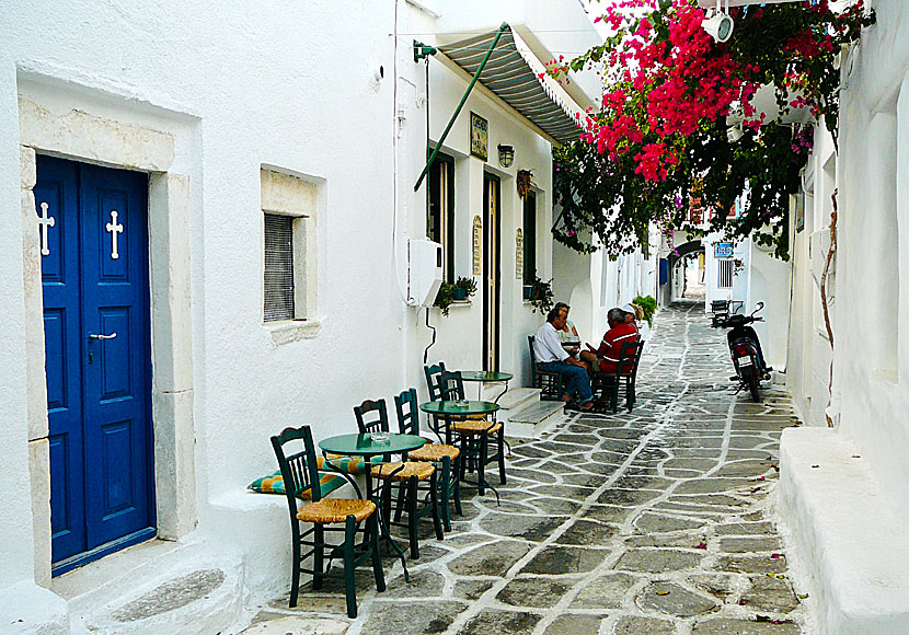 Ouzeria and bougainvillea in alleys of Naoussa.