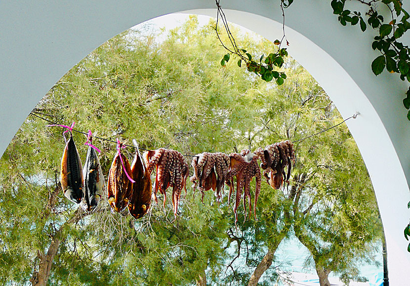 On Paros you can eat fresh fish and squid.