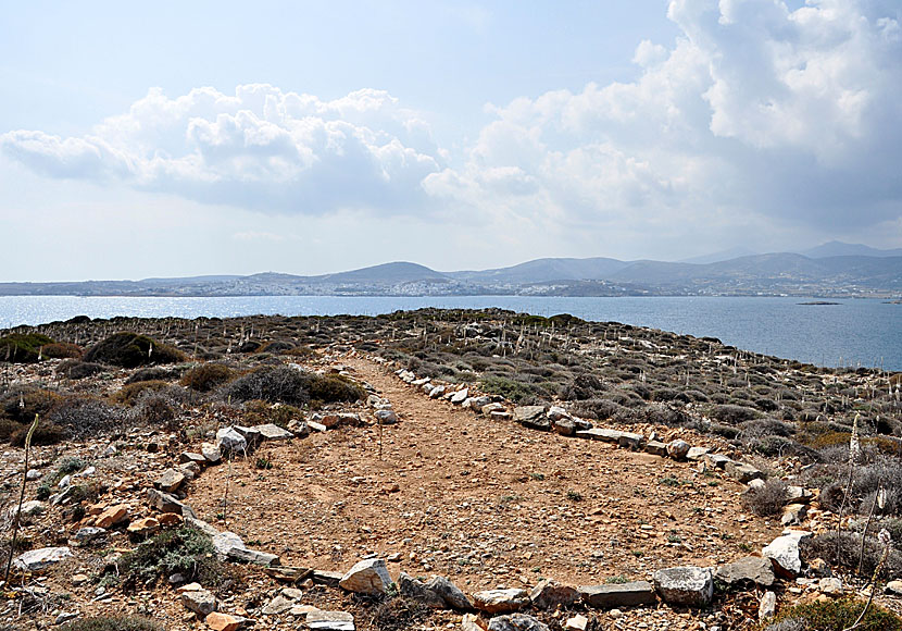 From Naoussa, it is close to the beaches of Monastiri and Kolymbithres, as well as to the Cultural Park of Paros.