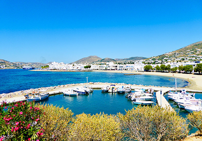 The beach and small boat marina in Parikia.
