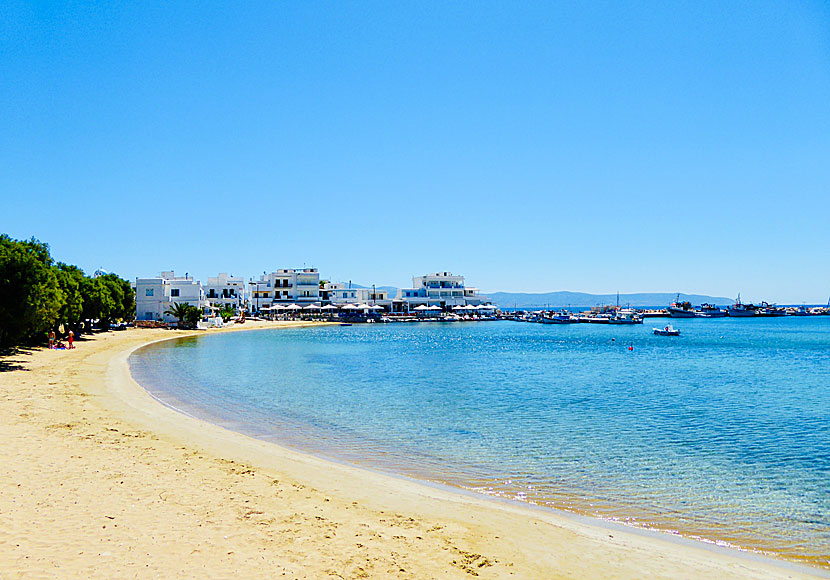 The beach in Piso Livadi.  Paros.