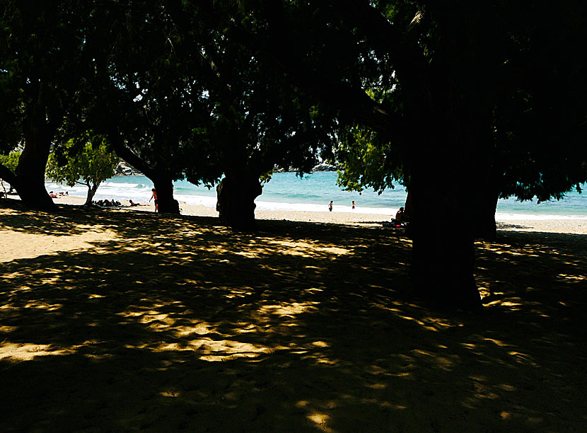 There are no sunbeds or umbrellas for rent in Psili Ammos, but there are many shady tamarisk trees.