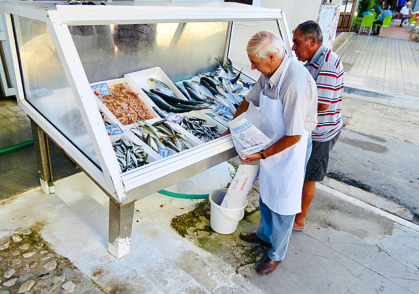 Fish market at the square in Pylos.