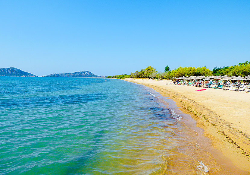 Gialova beach north of Pylos on the Peloponnese in Greece.