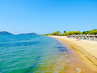 Gialova beach north of Pylos in the Peloponnese.