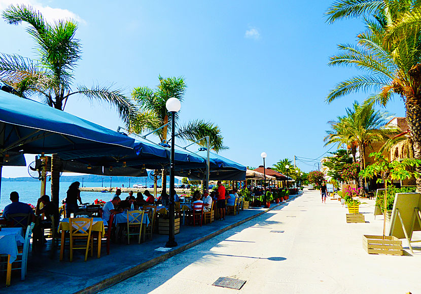 Along the cozy beach promenade of Gialova on the Peloponnese peninsula there are many good restaurants.