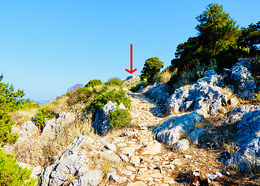 Hike to Paleokastro from Gialova lagoon and the fine sandy Divari beach.