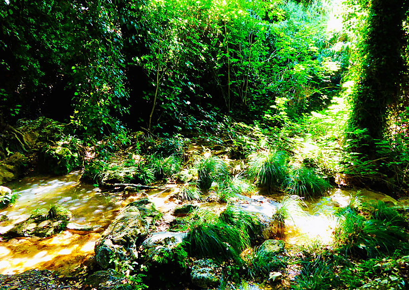 The path to Kalamaris waterfall at Shinolaka in Peloponnese.