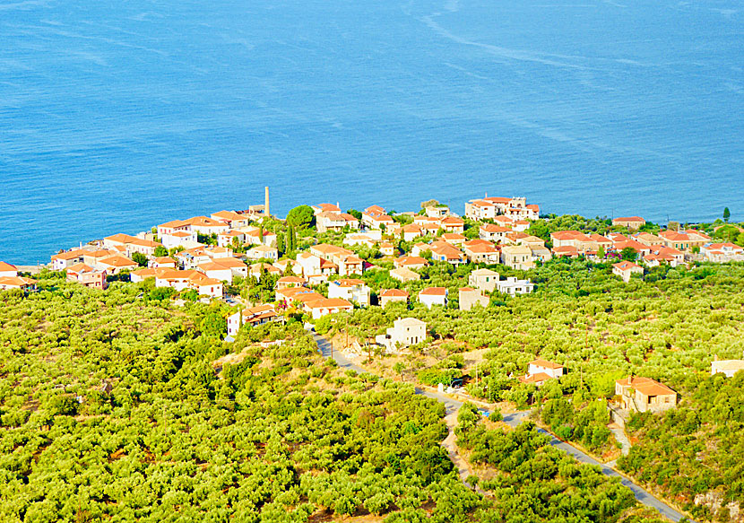 Kardamili is located in a green oasis full of olive trees that produce Kalamata olives.