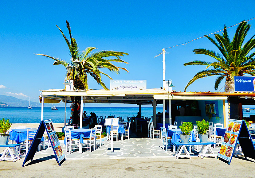 Good fish restaurants in Koroni.