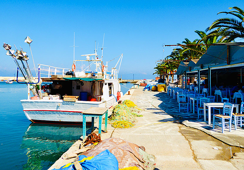 Fishing boats in Koroni bringing fresh fish and seafood to the restaurants.