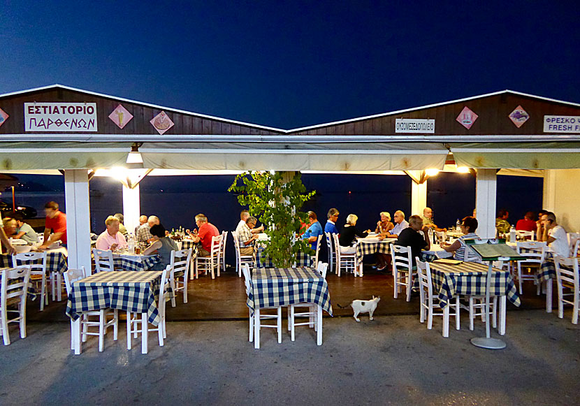 One of the many good tavernas along the harbor promenade in Koroni.