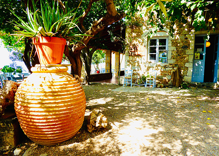 Lela's Taverna in Kardamili.