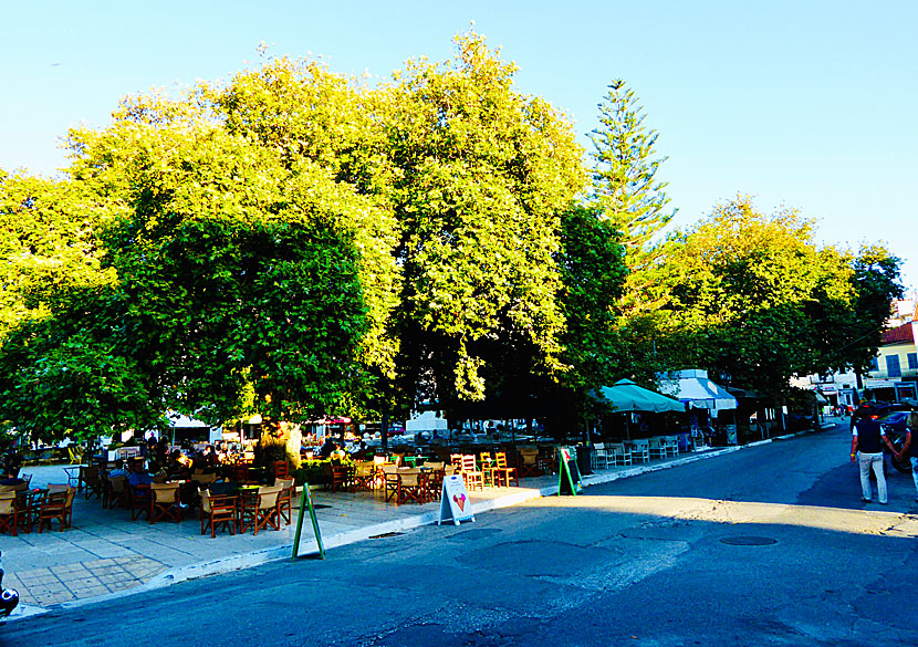 If the square rules over Pylos, then magnificent plane trees dominate the square.