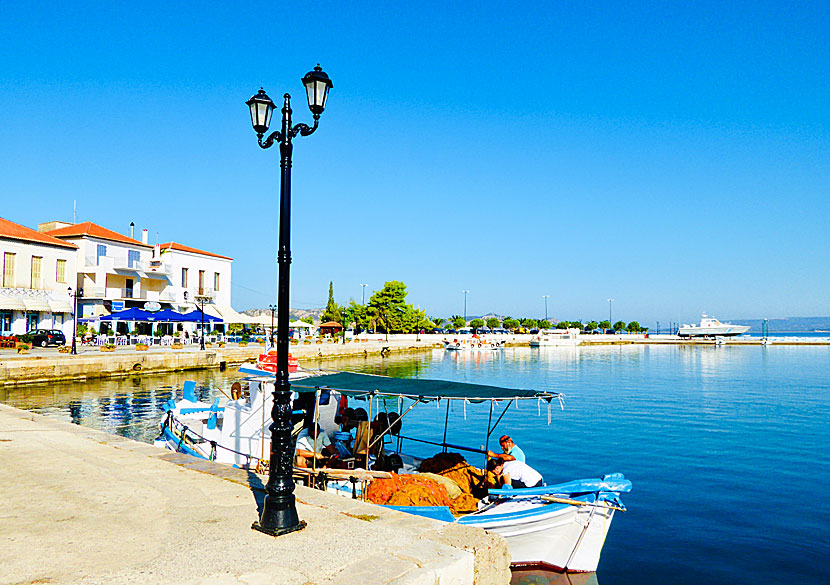 Fishing boats in Pylos port.