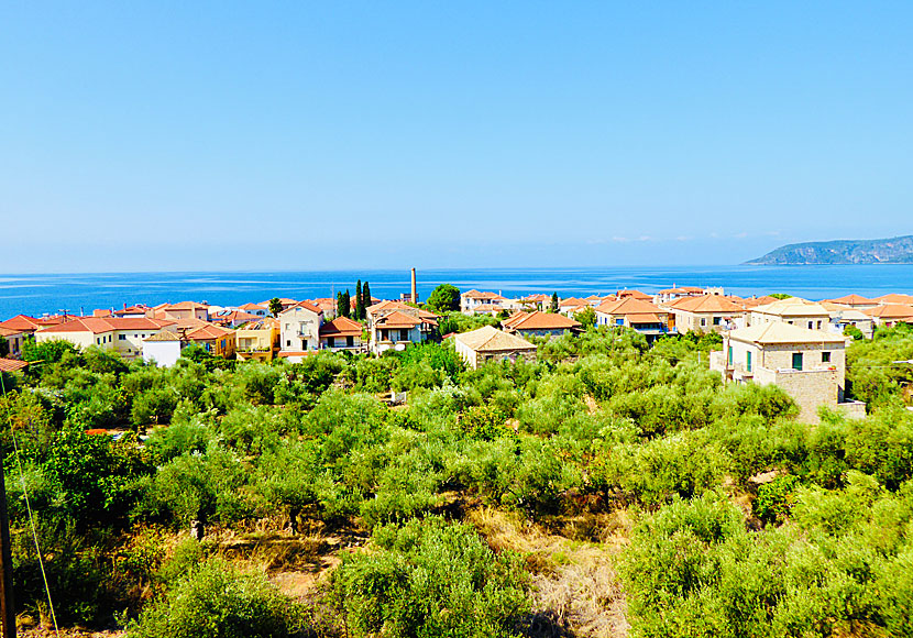 View from Stella Rooms in Kardamili.
