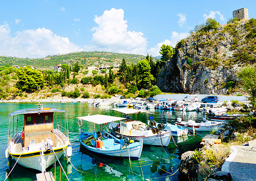 Fishing boats in Kardamili's harbour.