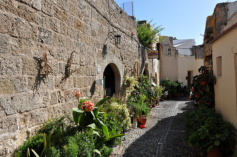 Kristina's Rooms in Rhodes old where you can have lunch or buy something to drink.