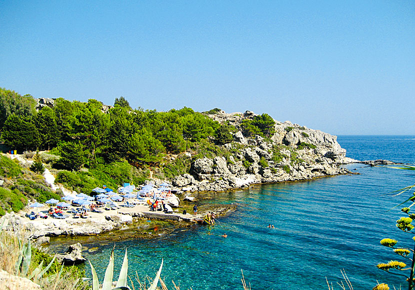 A nice little rock pool between the beaches Ladiko and Anthony Quinn in Rhodes.