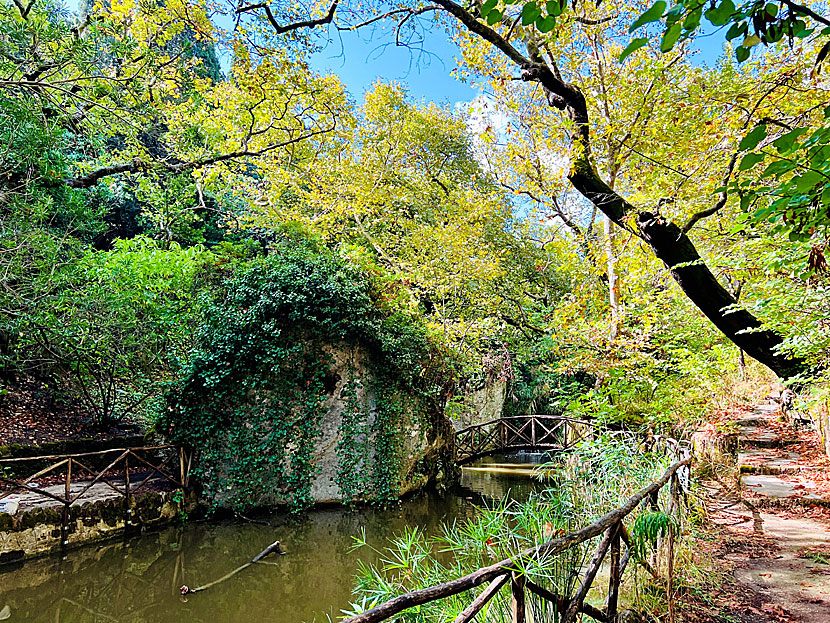 Walk in the Rodini Park in Rhodes Town.