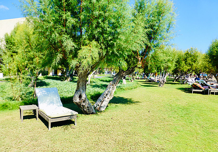 Doryssa Seaside Resort in Potokaki near Pythagorion on Samos.