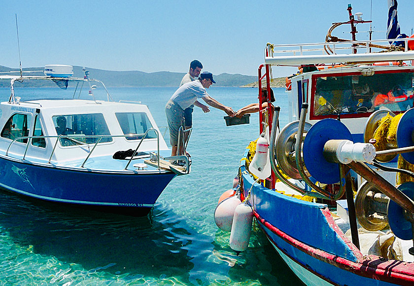 At Posidonio on Samos, you can feast on fresh fish and shellfish after swimming in the crystal-clear snorkeling-friendly water.