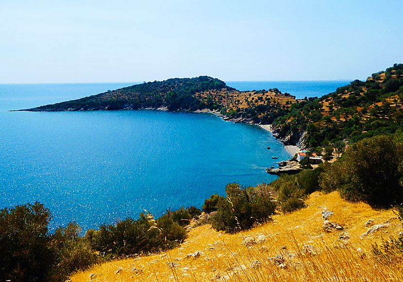 You are offered beautiful views along the coast along the road to the Taverna at the end of the world in Samos.