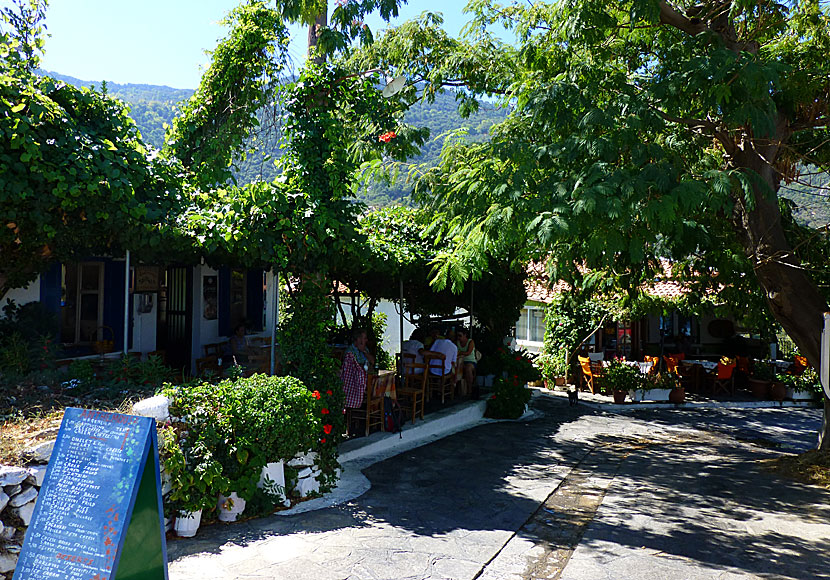 Great restaurants and taverns in the village of Manolates on Samos.