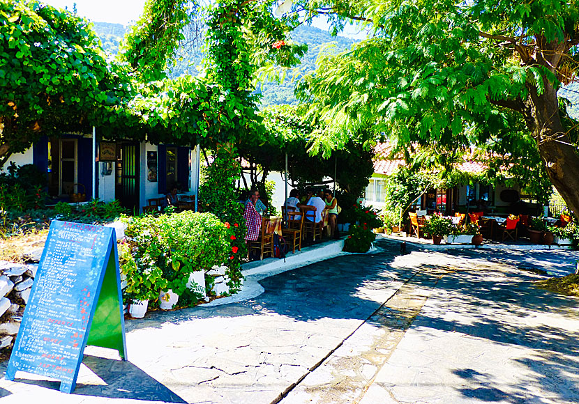 Great restaurants and taverns in the village of Manolates on Samos.