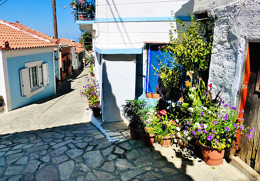 The narrow main street of Manolates on Samos in Greece.