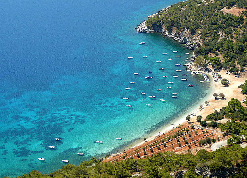 The best beaches in Samos. Mourtia beach.