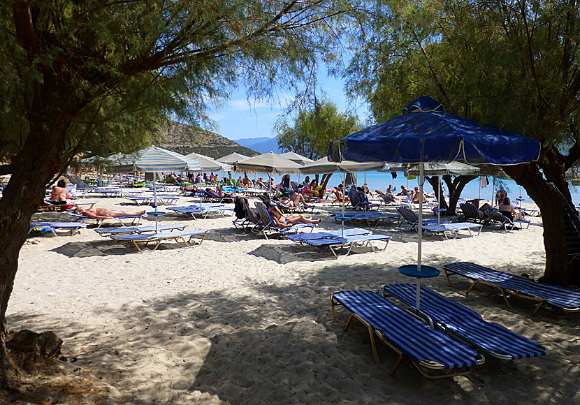Psili Amos beach 1. Samos.