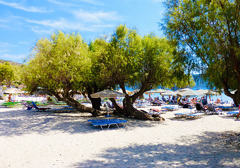 Psili Amos beach 1. Samos.