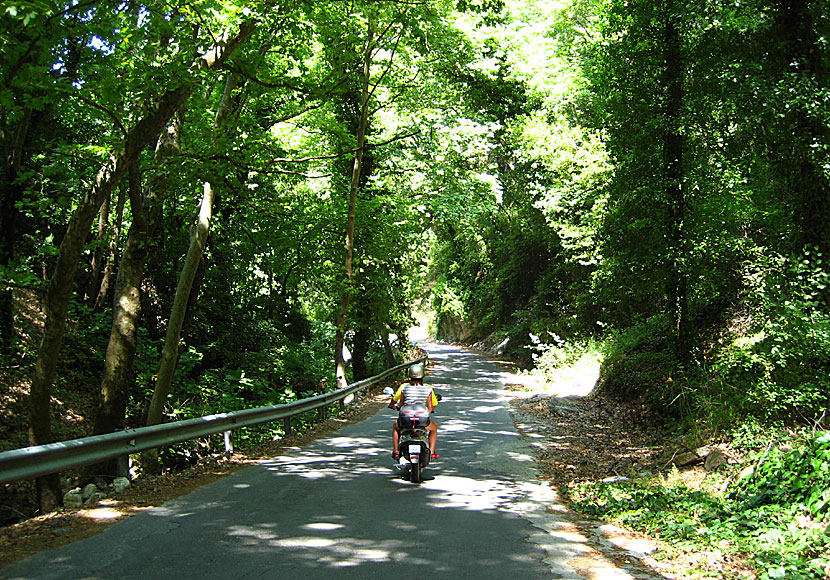 The beautiful road up to Manolatos on Samos.
