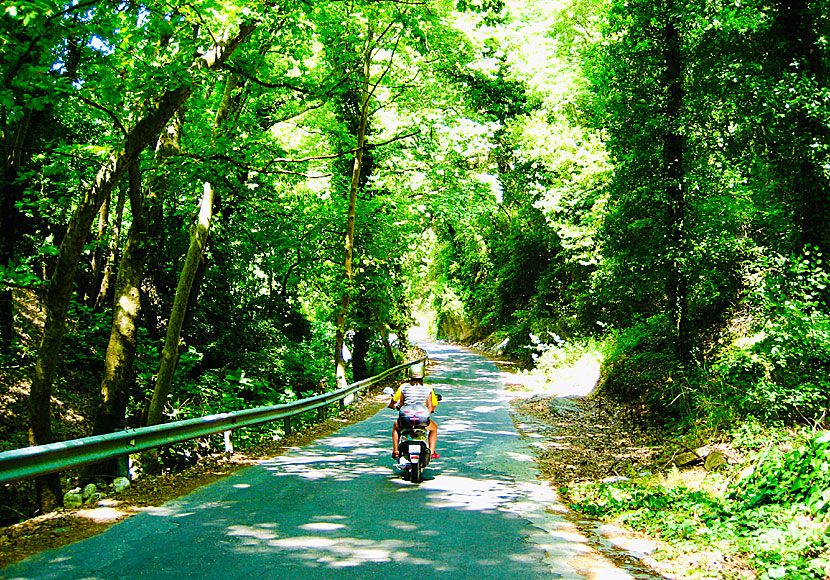 The beautiful road up to Manolatos in Samos.