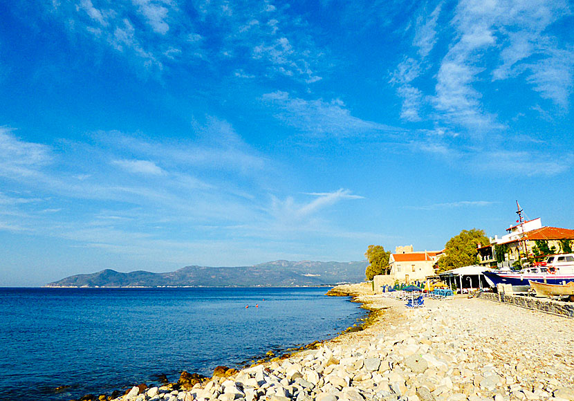 Tarsanas beach in Pythagorion. Samos.
