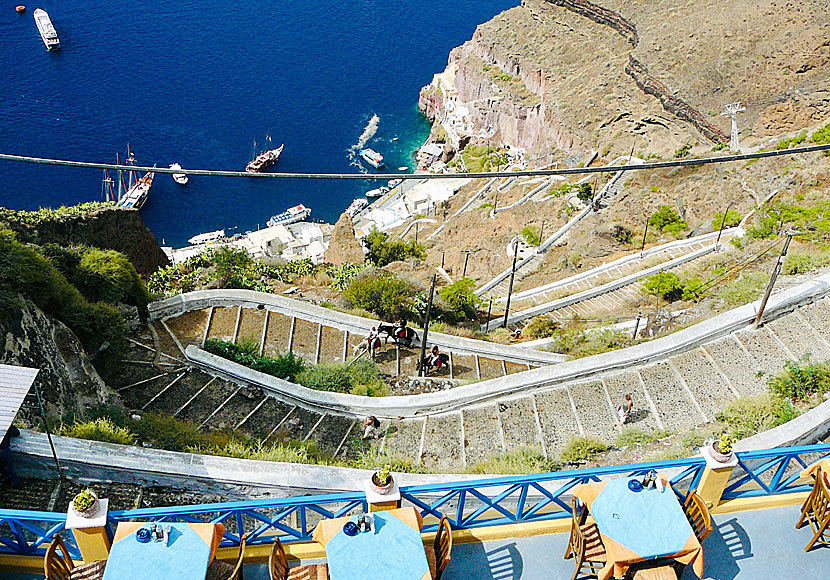 Donkeys in Santorini.