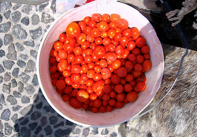 Tomatoes from Santorini are considered the best in all of Greece.