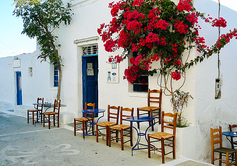 Cosy cafes on Schinoussa.