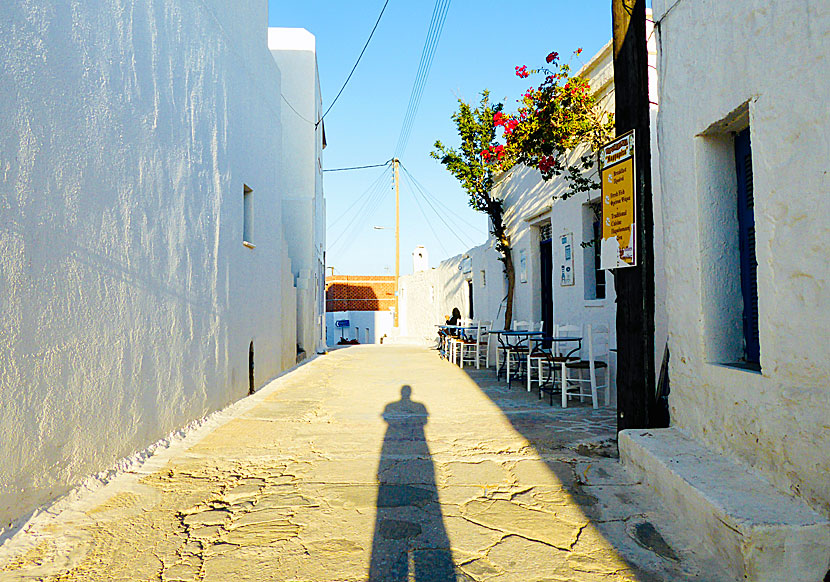 Kalimera Janne in Chora on Schinoussa.