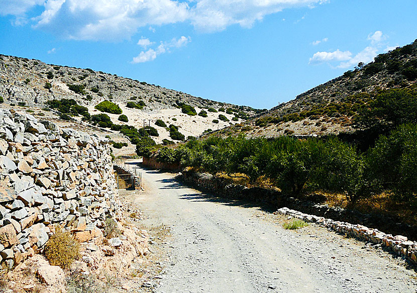 The dirt road that leads to Psili Amos beach at Schinoussa.