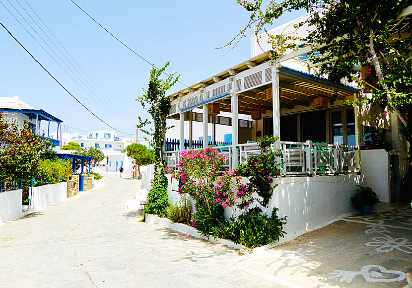 Taverna Kira Pothiti in Chora in Schinoussa.