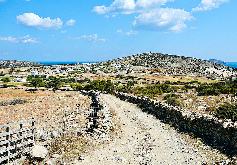 Hike on Schinoussa in Greece.