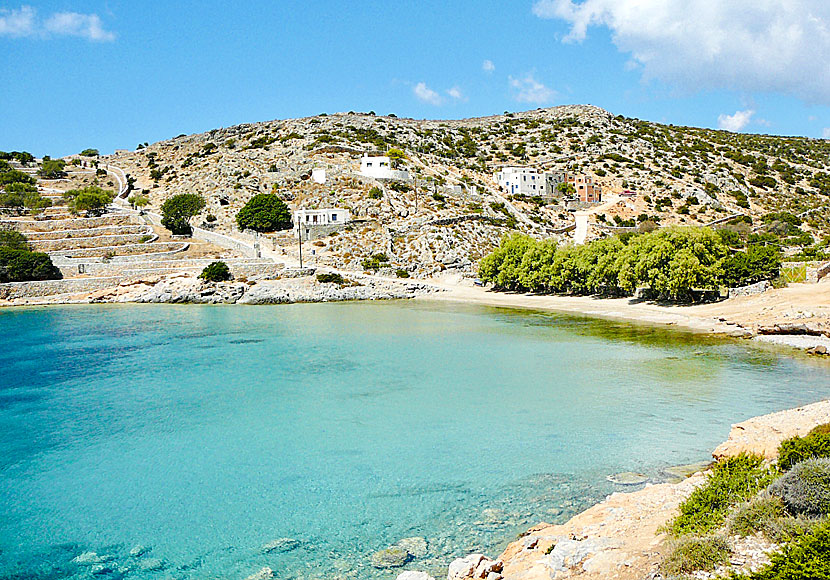 Mersini beach in the port of Schinoussa.