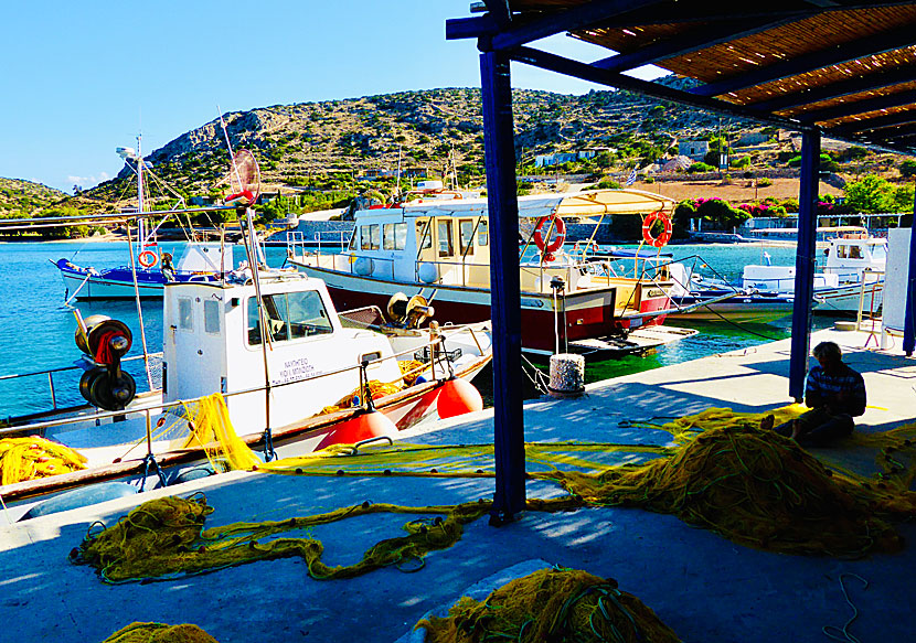 The fishing boats in the harbour at Schinoussa bring fresh fish every morning.