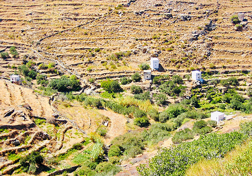 Hiking trails on Serifos in the Cyclades.