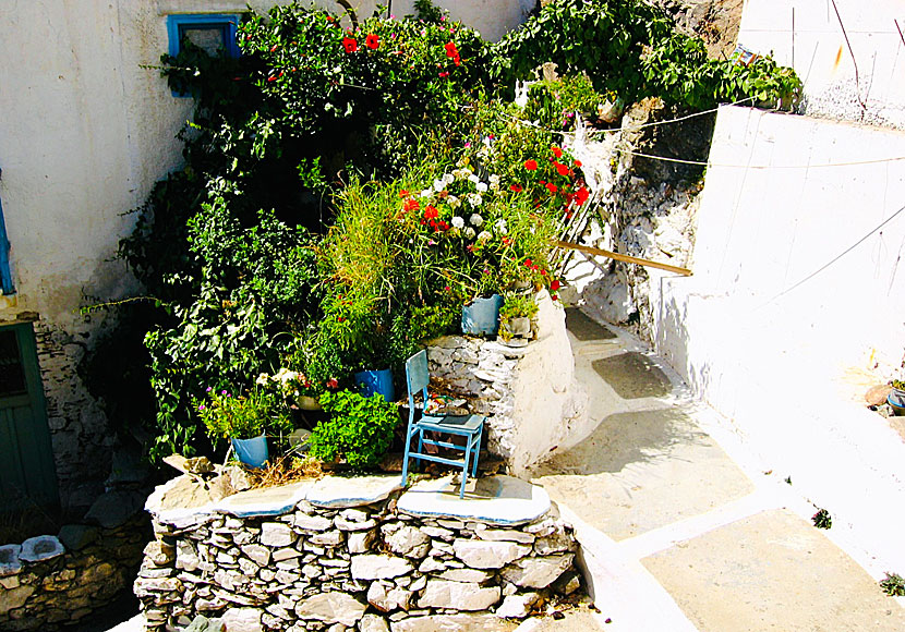 Typically Greek and almost like an art installation. Kentarchos. Kallitsos. Serifos.