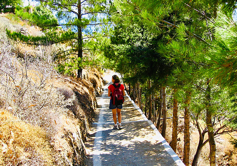 Kentarchos on Serifosi s a car-free village and this is the only "road" into the village.