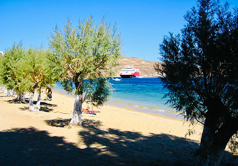 Shading tamarisks along Livadaki beach near Livadi on Serifos.