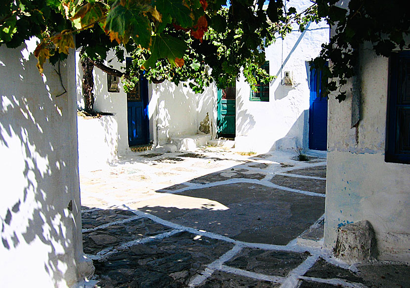 Square, alleys, cafes and tavernas in the village of Panagia on Serifos.